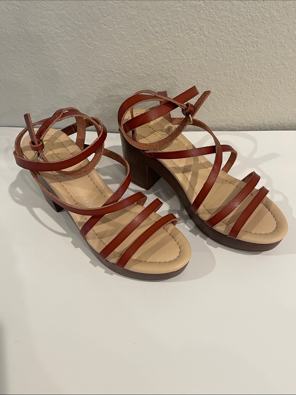 Women’s Ankle Strap Brown Block Heel Sandals. Size 7. New in a box.
